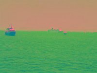 IMGP2745 edited (Medium)